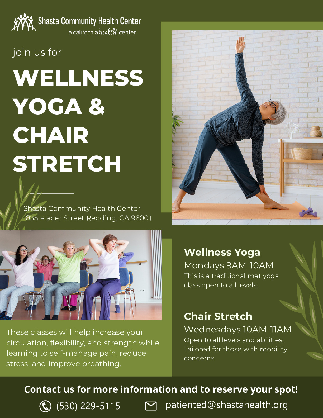 Wellness Yoga and Chair Stretch