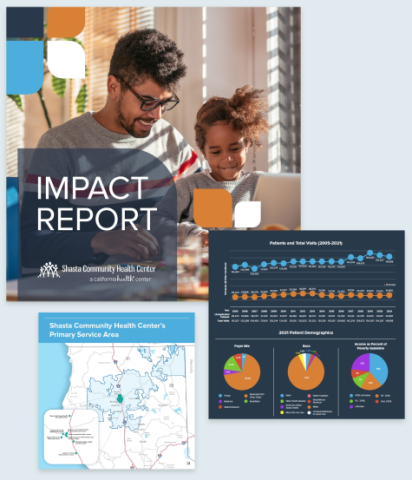 impact report